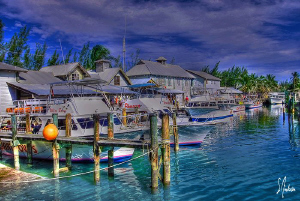Another view of a sunny and busy day at Stuart Cove's - N... by Steven Anderson 